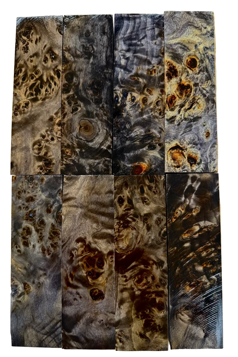 Nudo de álamo - Negro