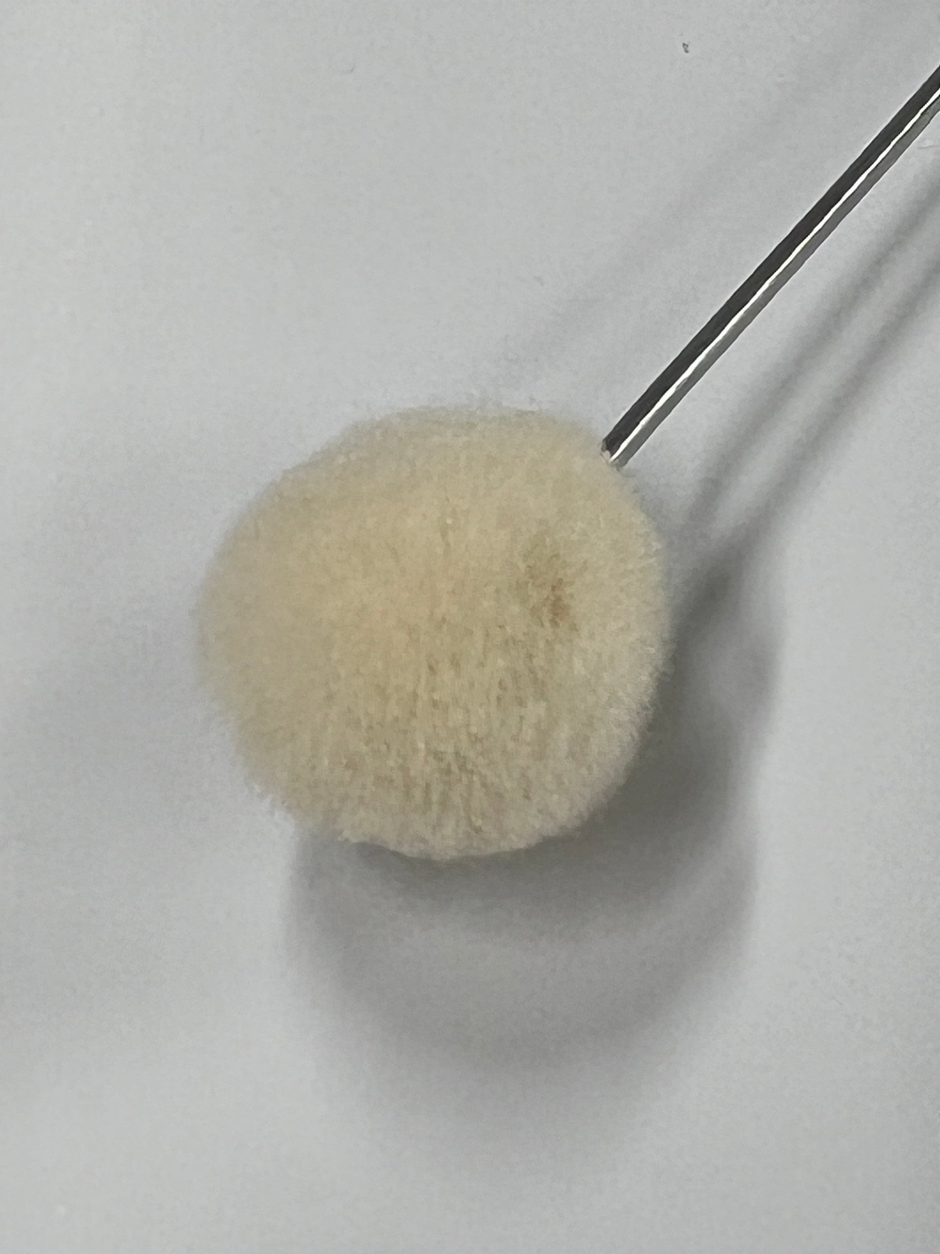 Pincel de lana de 20 mm para teñir cuero (paquete de 10)