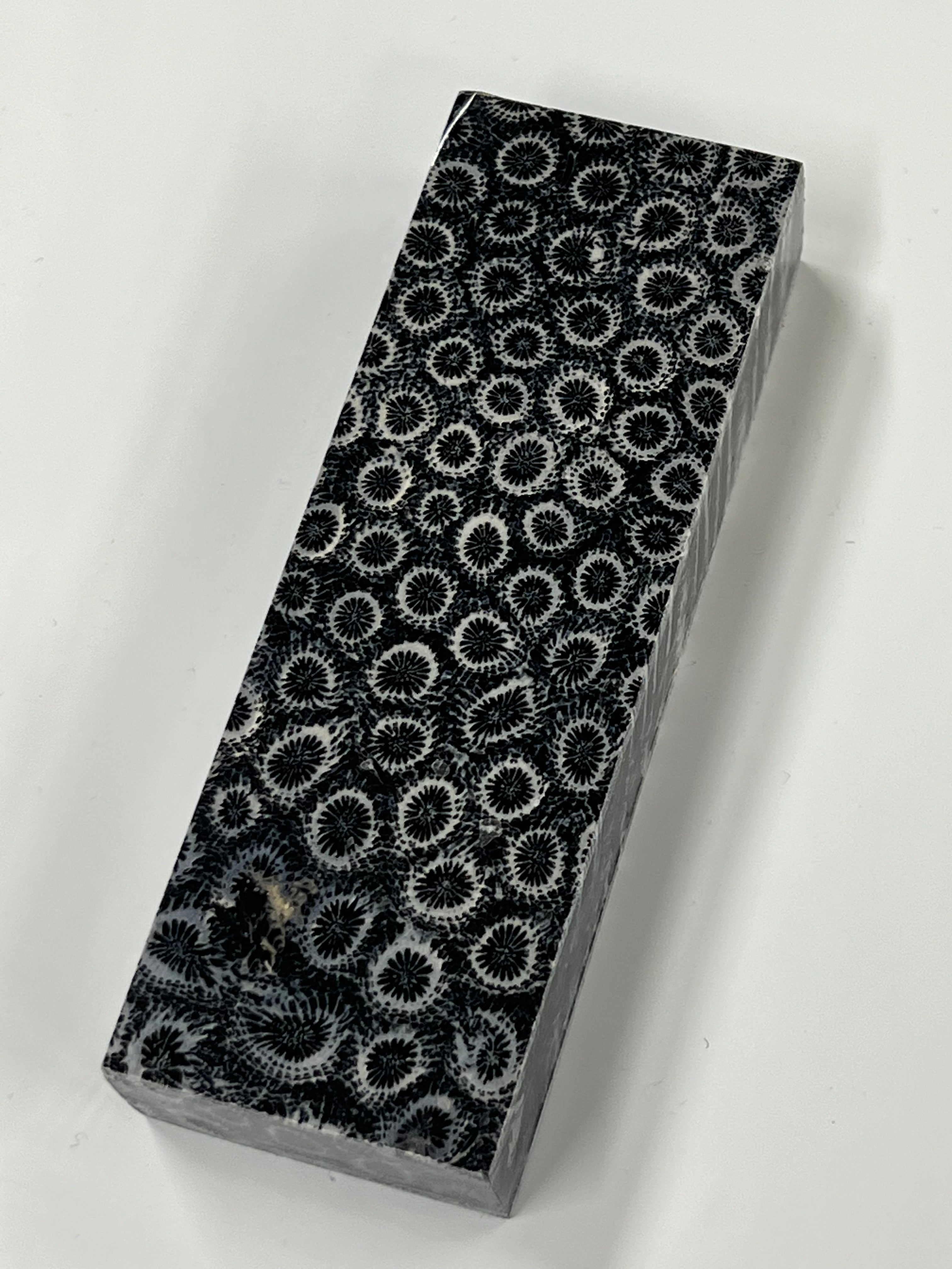 Mango de coral fósil K4 (negro)