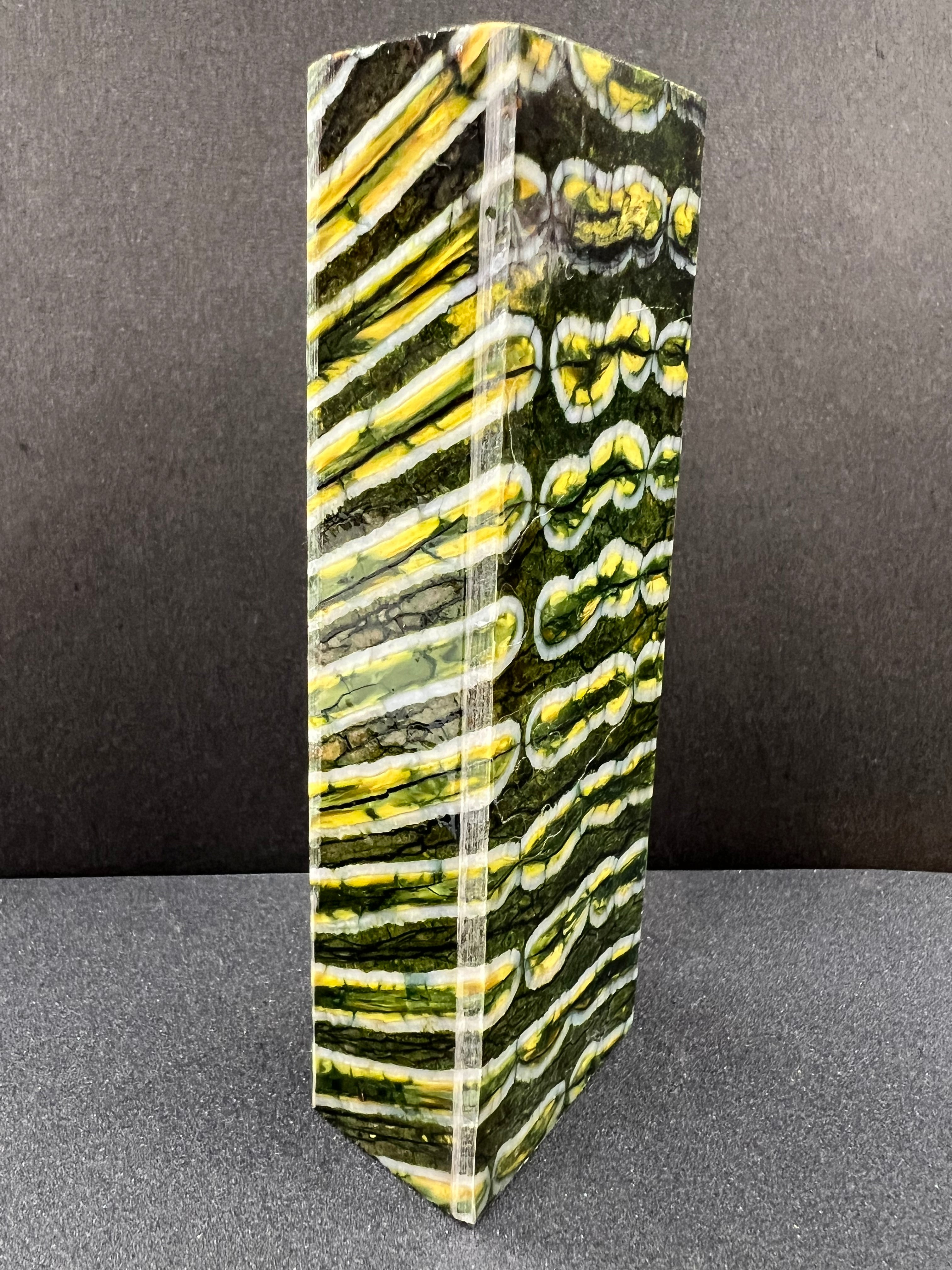 Mango de molar de mamut M243 (verde 17)