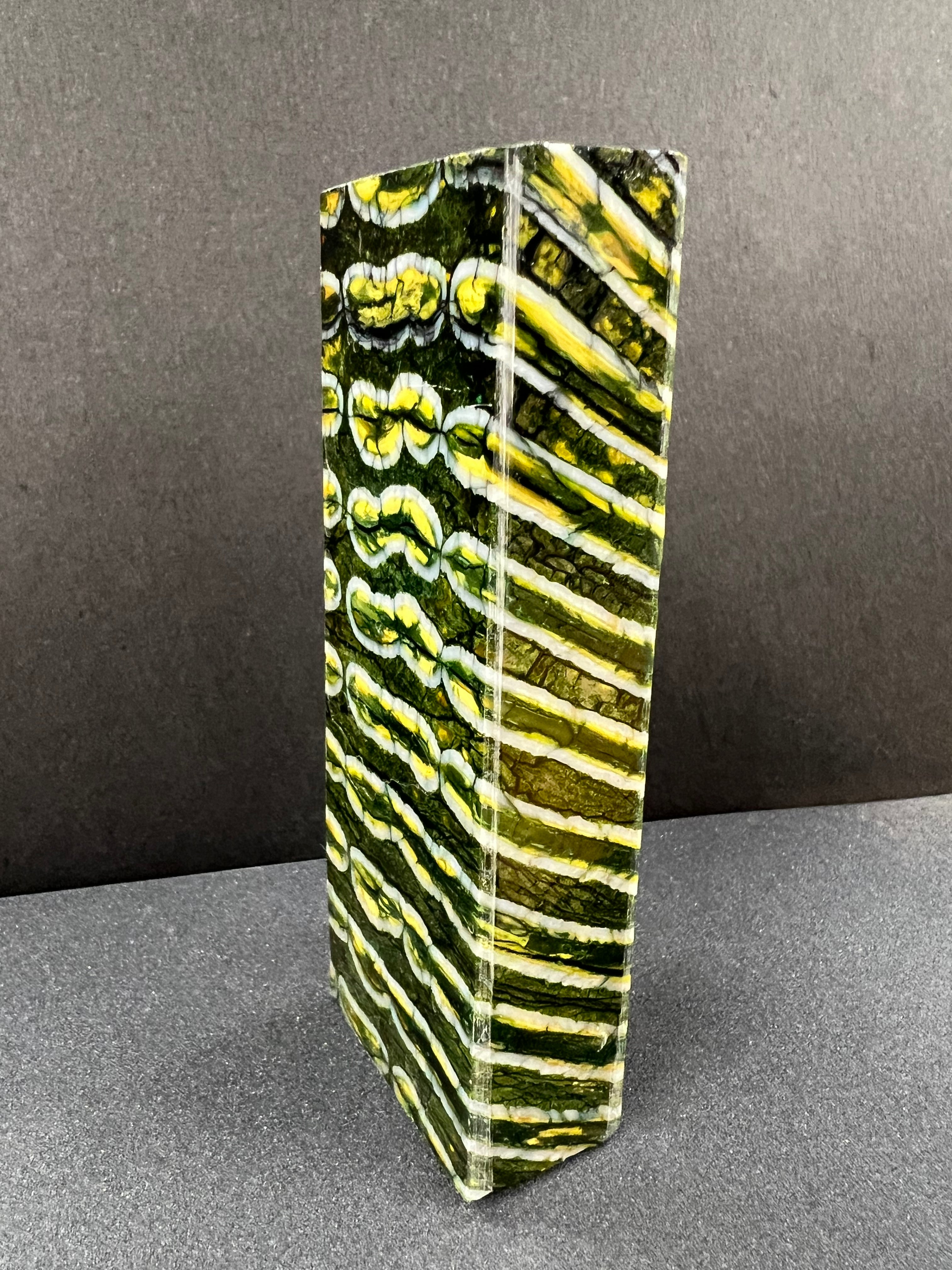Mango de molar de mamut M243 (verde 17)