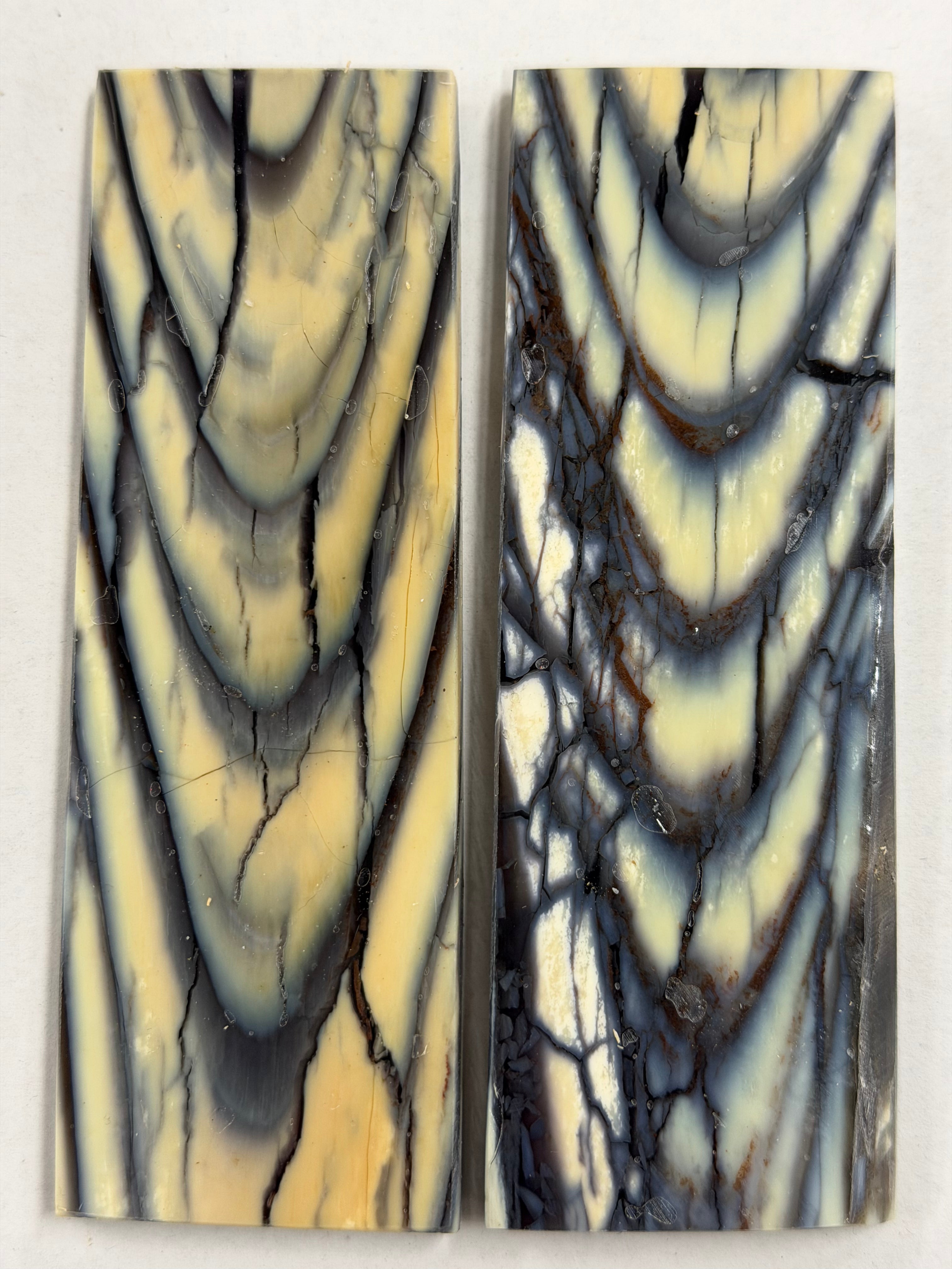 Placas de mango de colmillo de mamut MSP-04