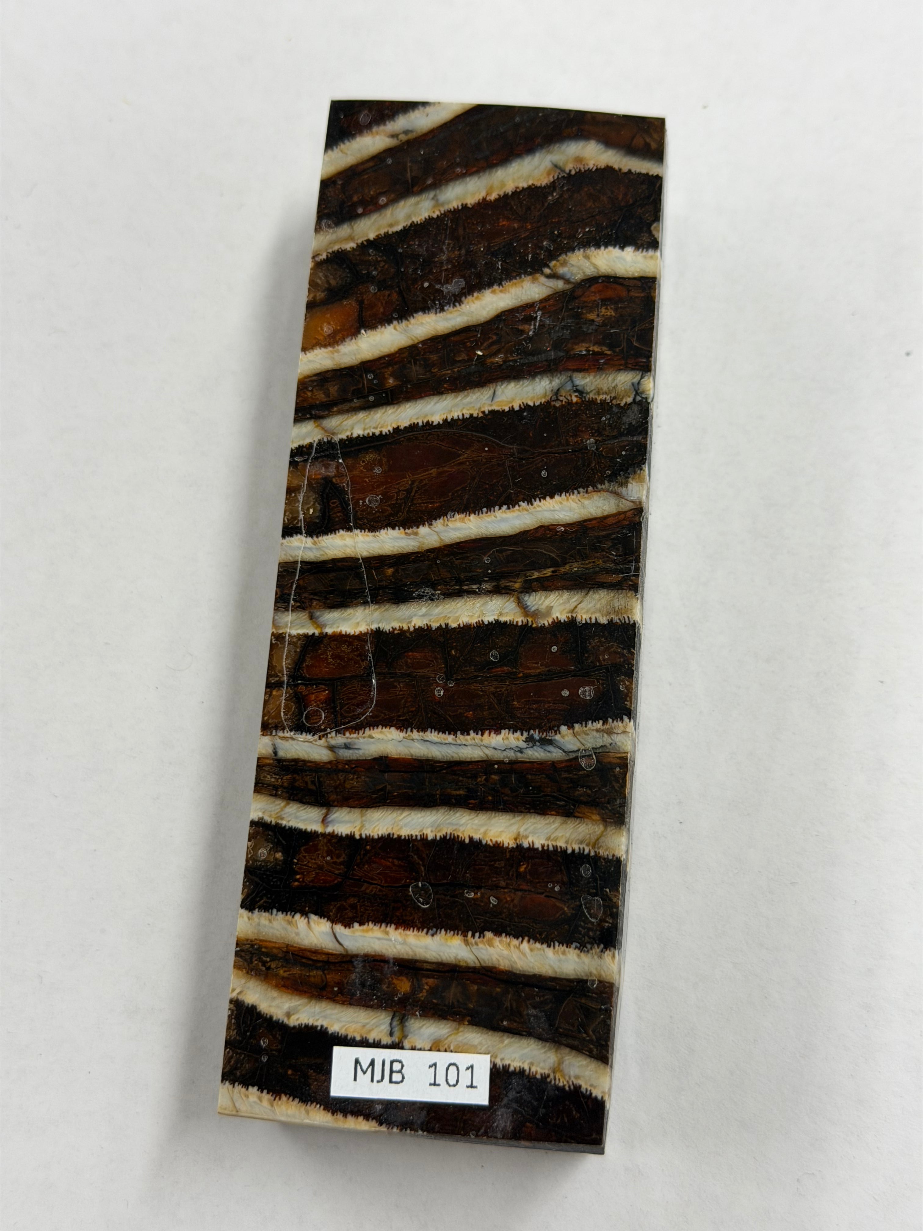Bloque de mango de muela de mamut MJB 101