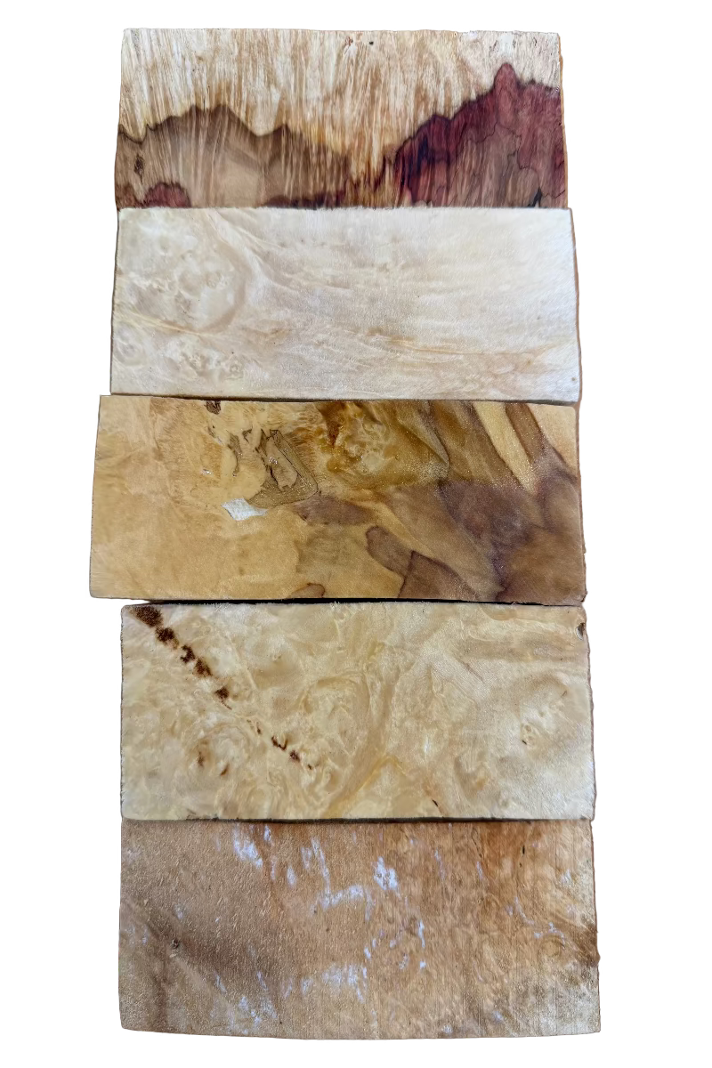 Mango de Box Elder, paquete de 5 - BEP5-105