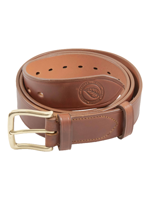 Cinturón de monte Casström