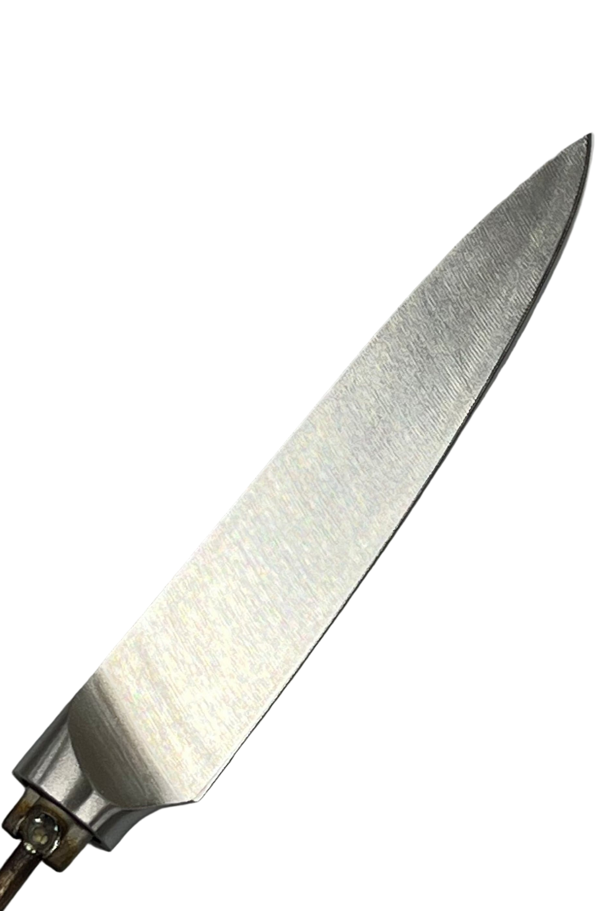 Cuchillo de fruta T - Cuchillo de chef inoxidable de 5"