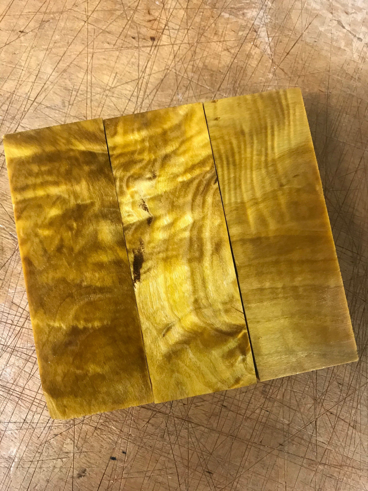 Álamo del desierto - Amarillo