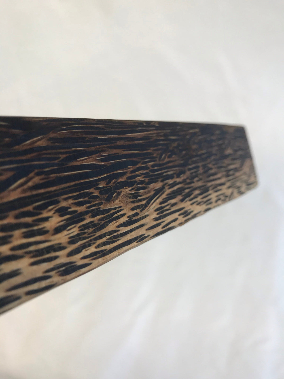 Palma negra, mango de 45 cm