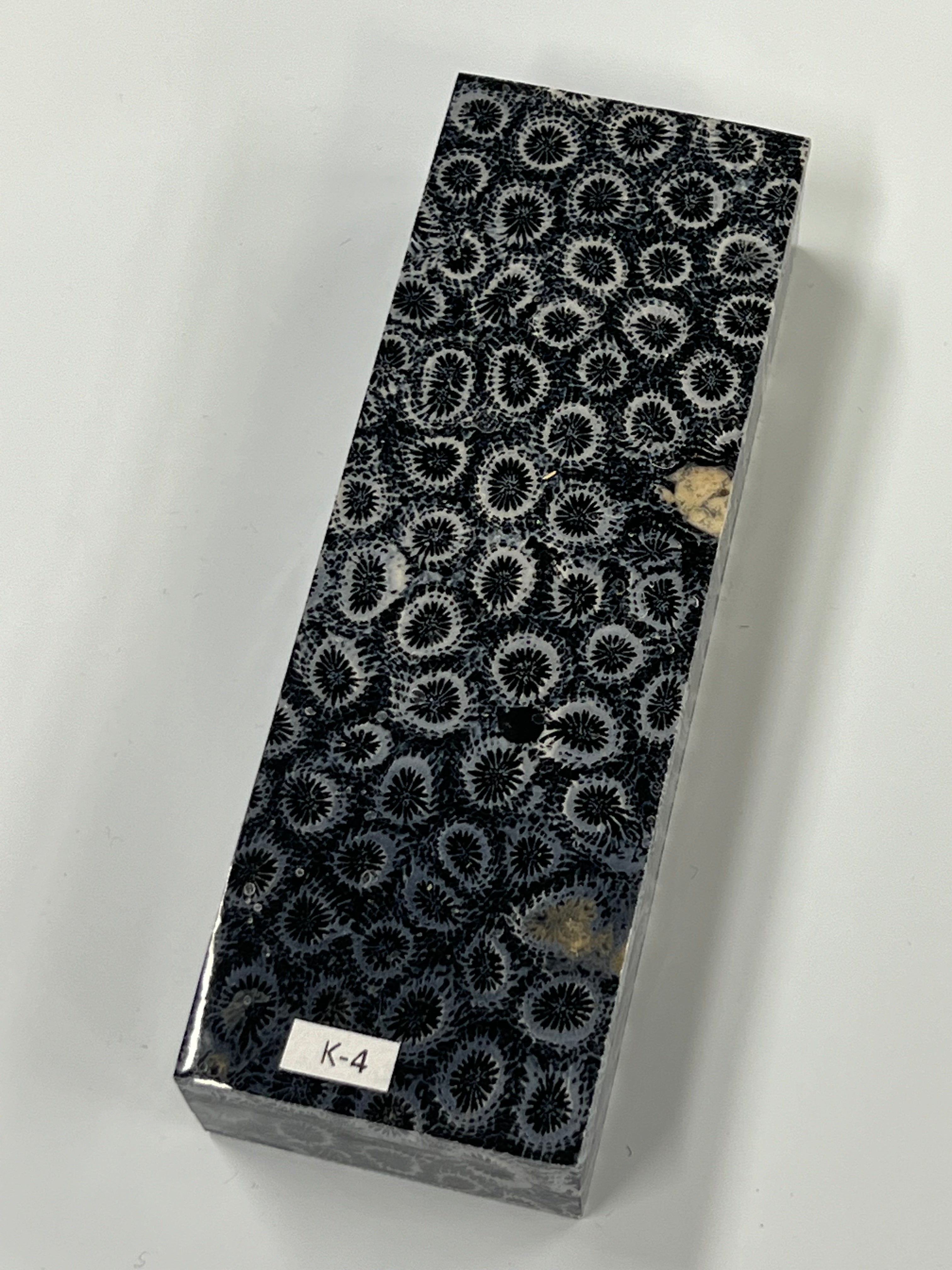 Mango de coral fósil K4 (negro)
