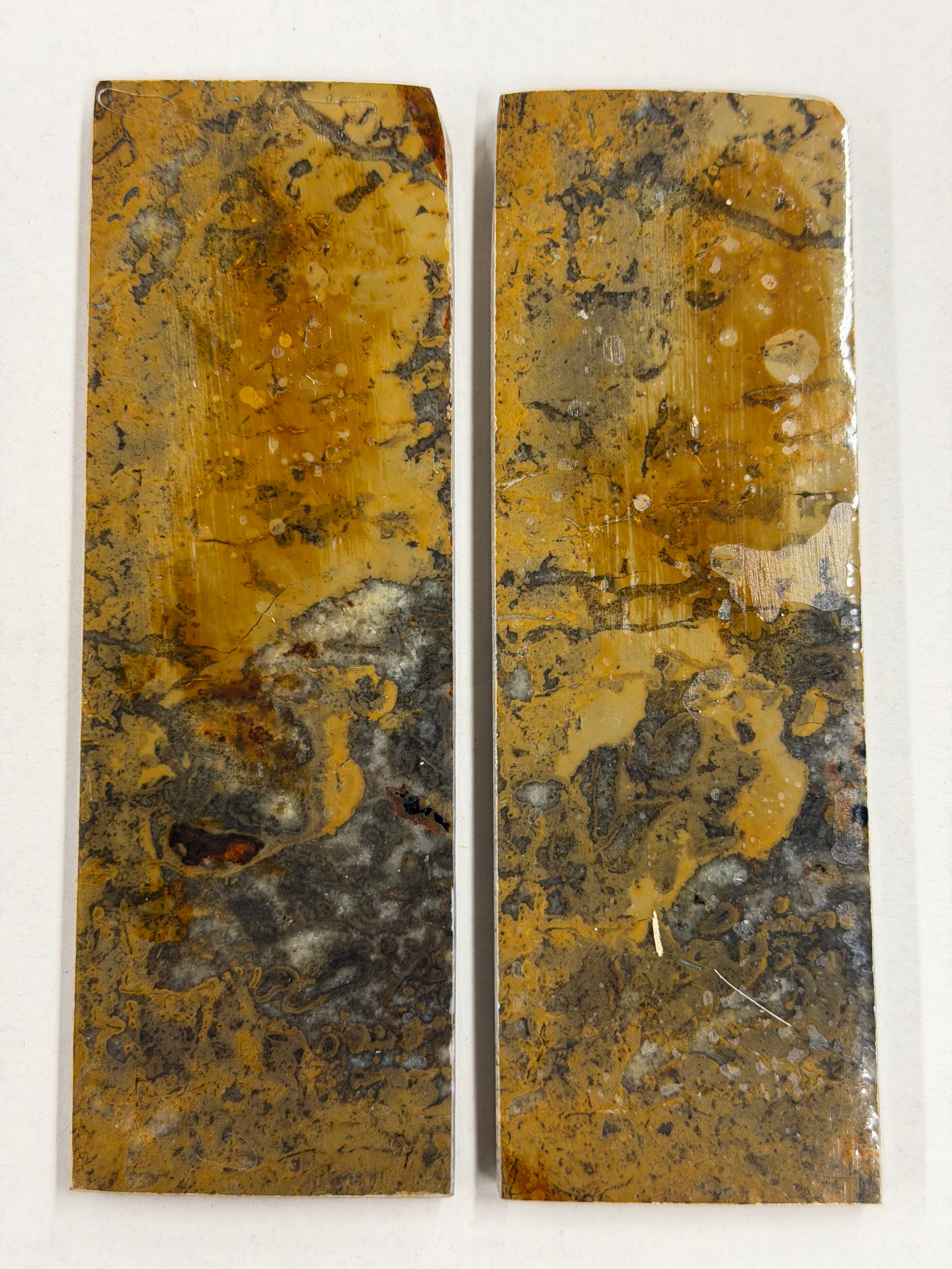 Juego de placas de eje de fósil de dinosaurio DFS-1