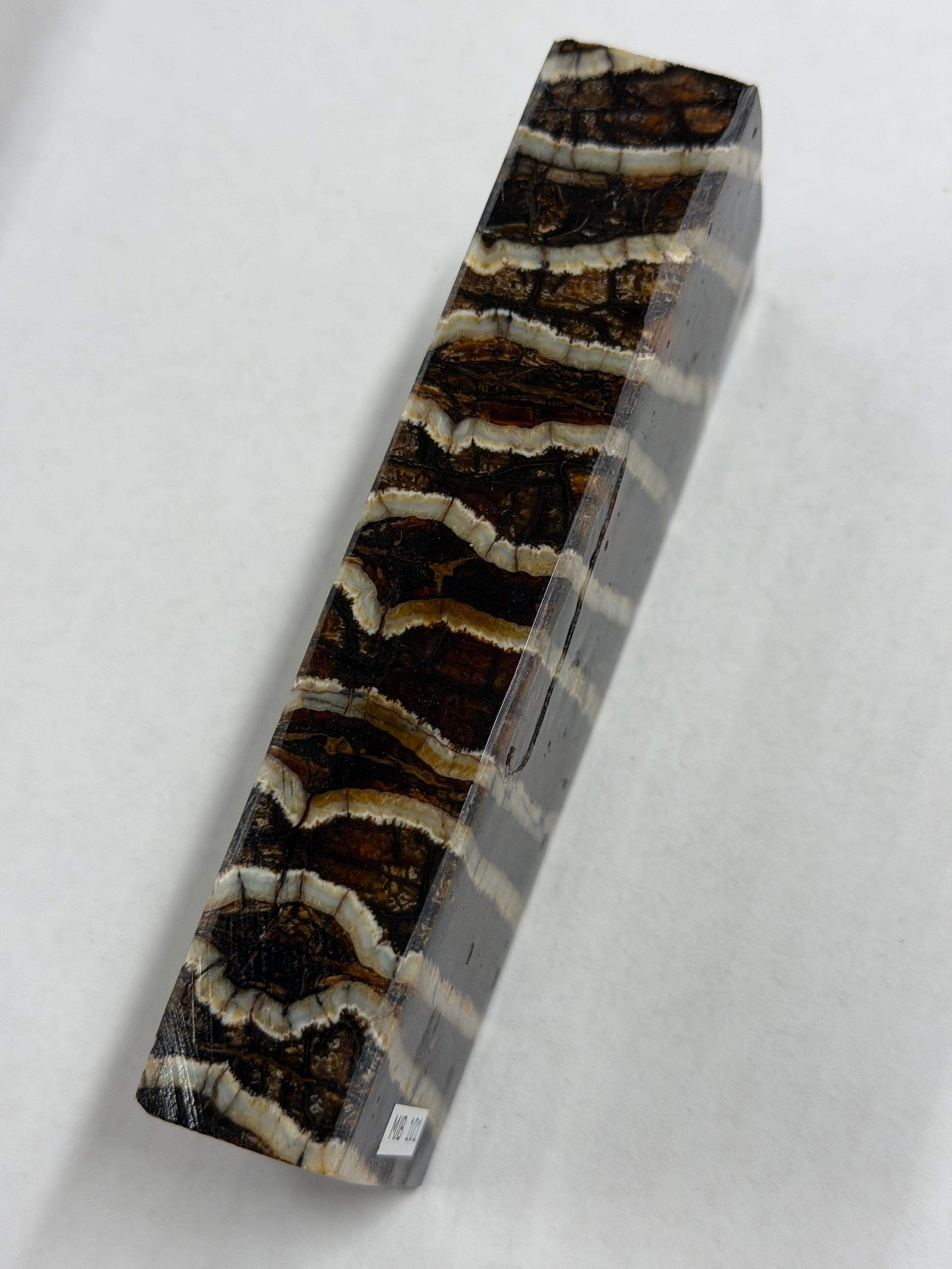 Bloque de mango de muela de mamut MJB 101