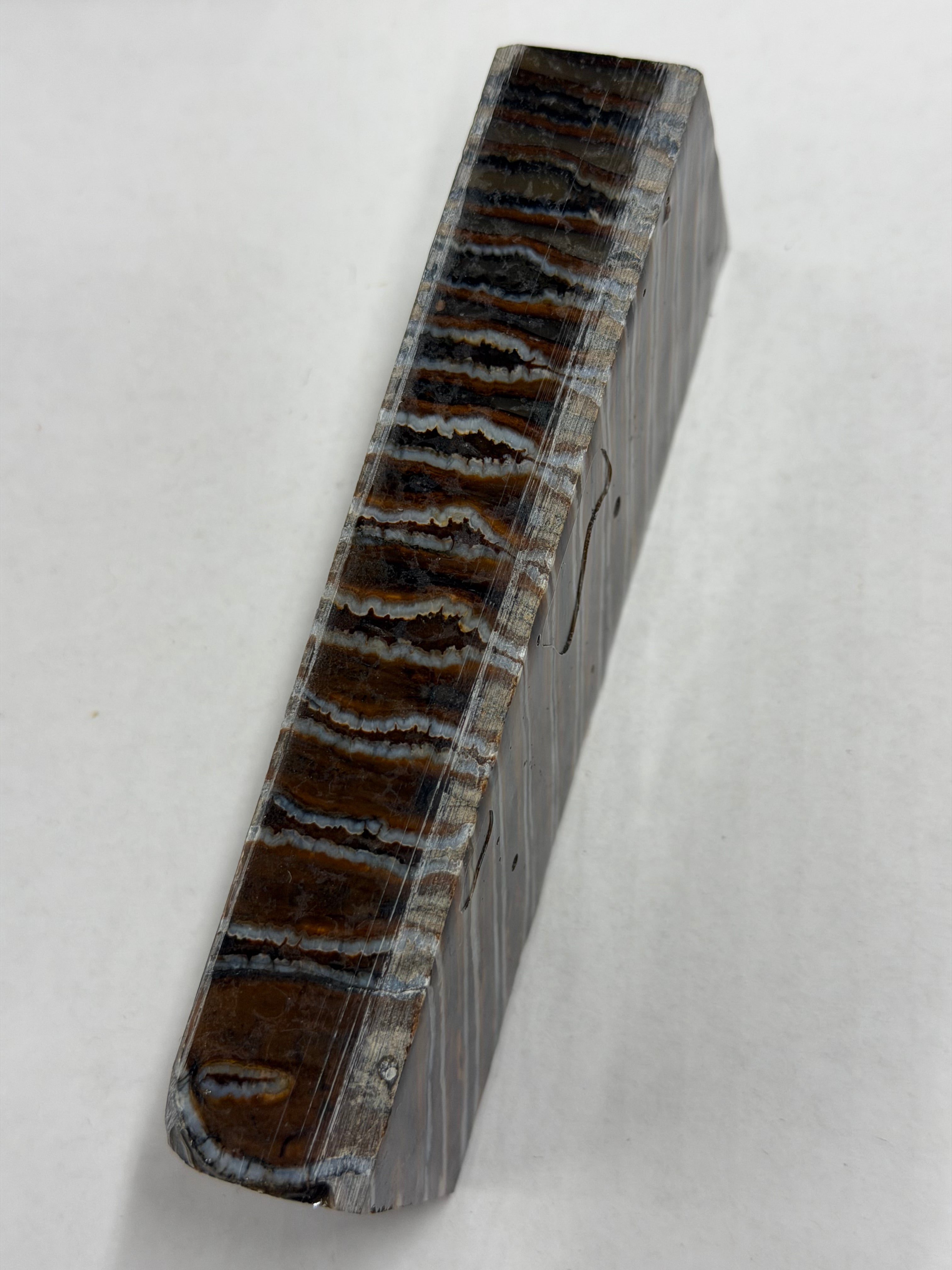 Bloque de mango de muela de mamut MJB 103