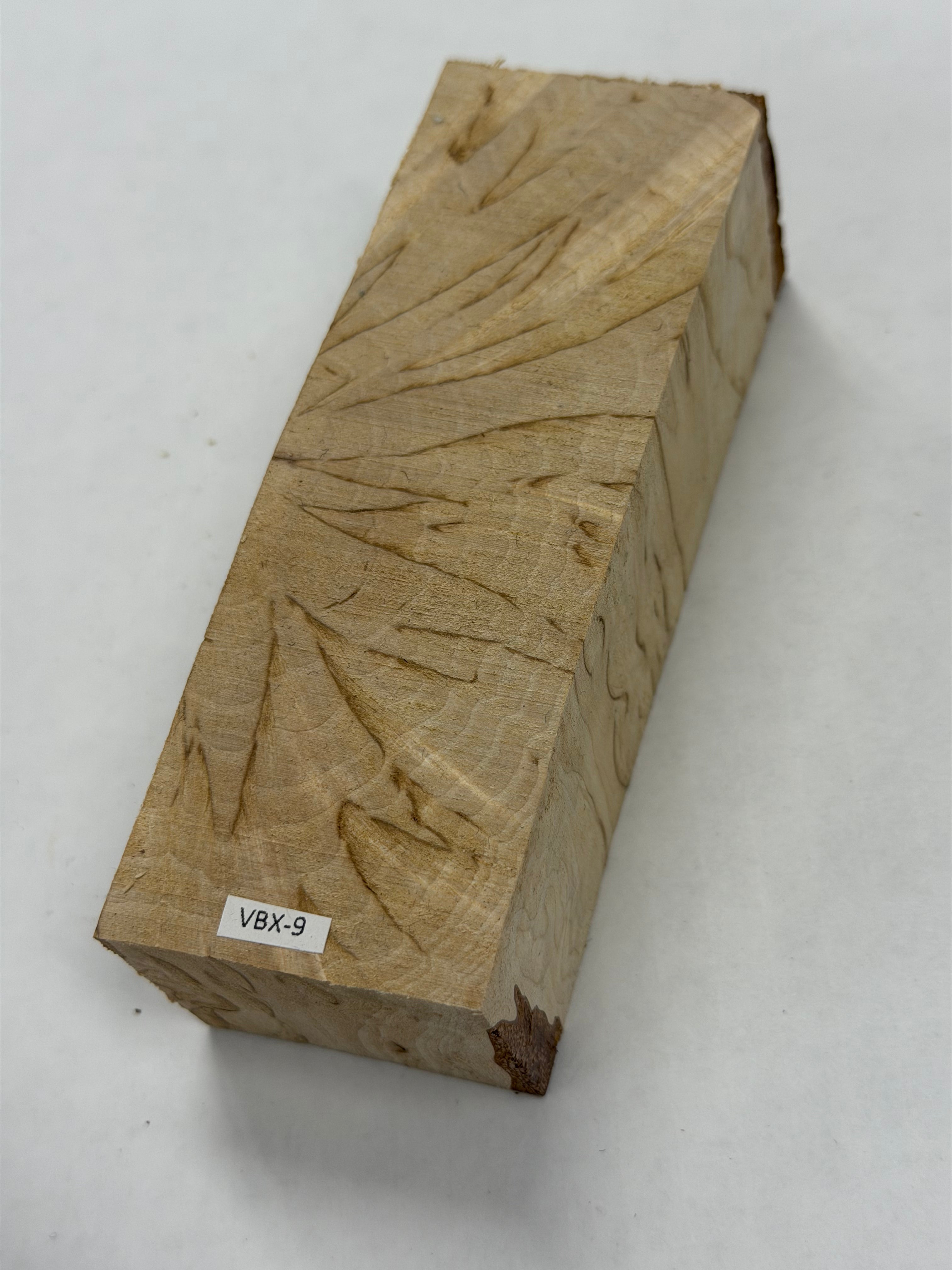 Abedul nudoso (masur) Valbjørk VBX-9; 35x43x123mm