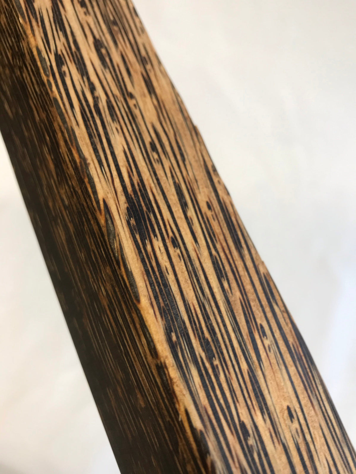 Palma negra, mango de 45 cm