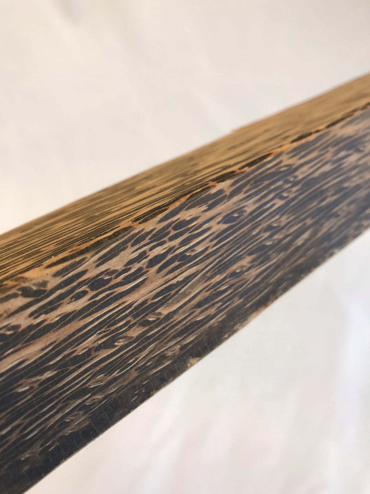 Palma negra, mango de 45 cm