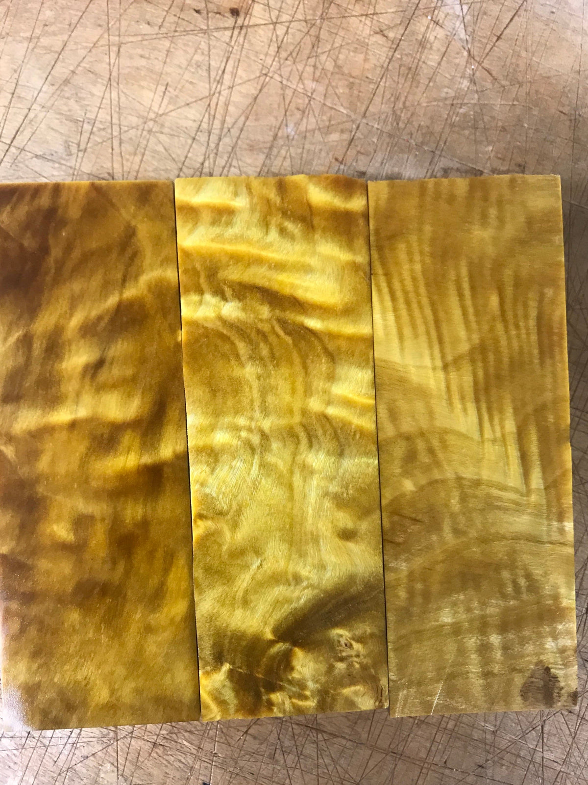 Álamo del desierto - Amarillo