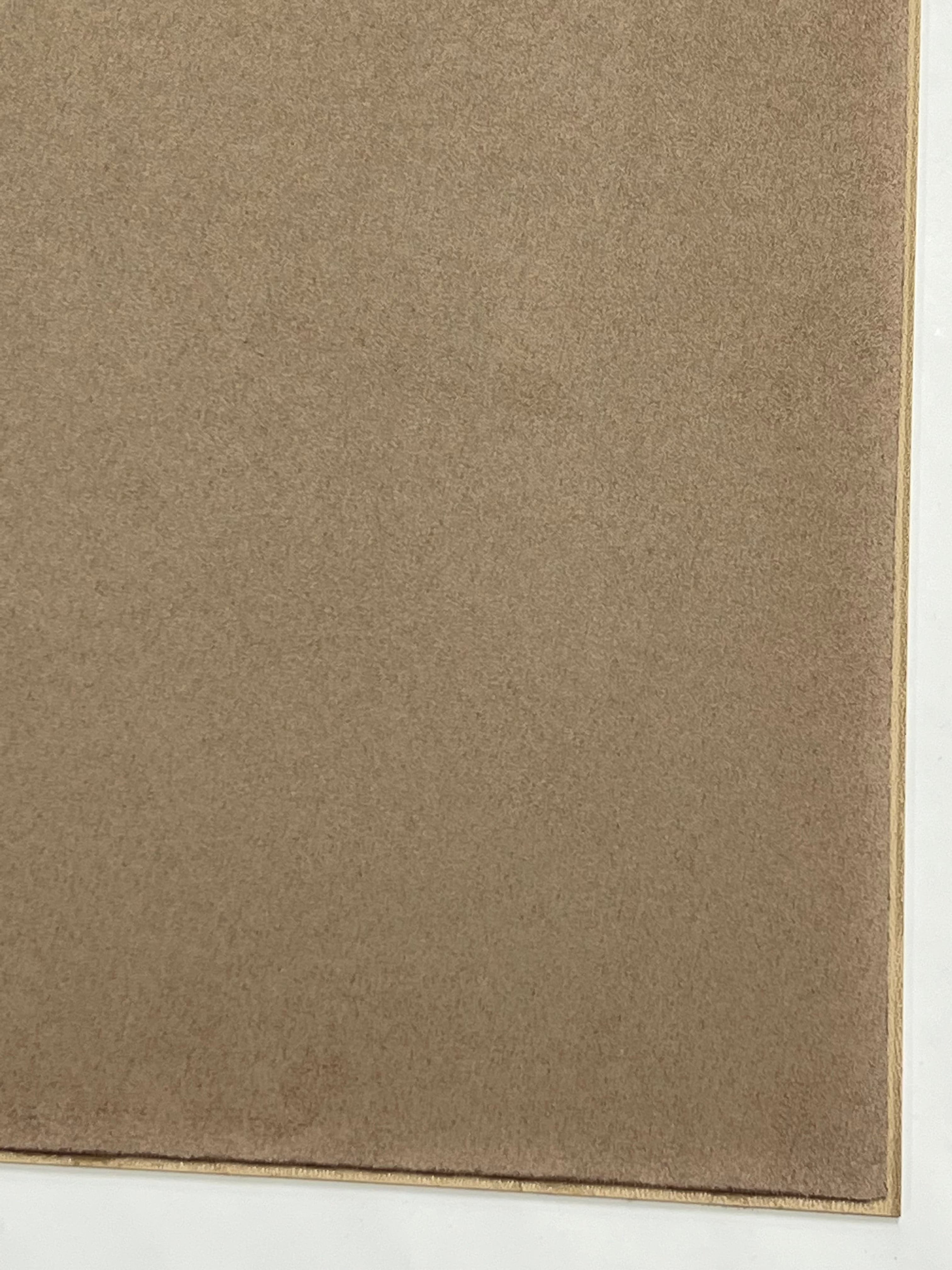 Kydex Ante Desert Tan (Beige)